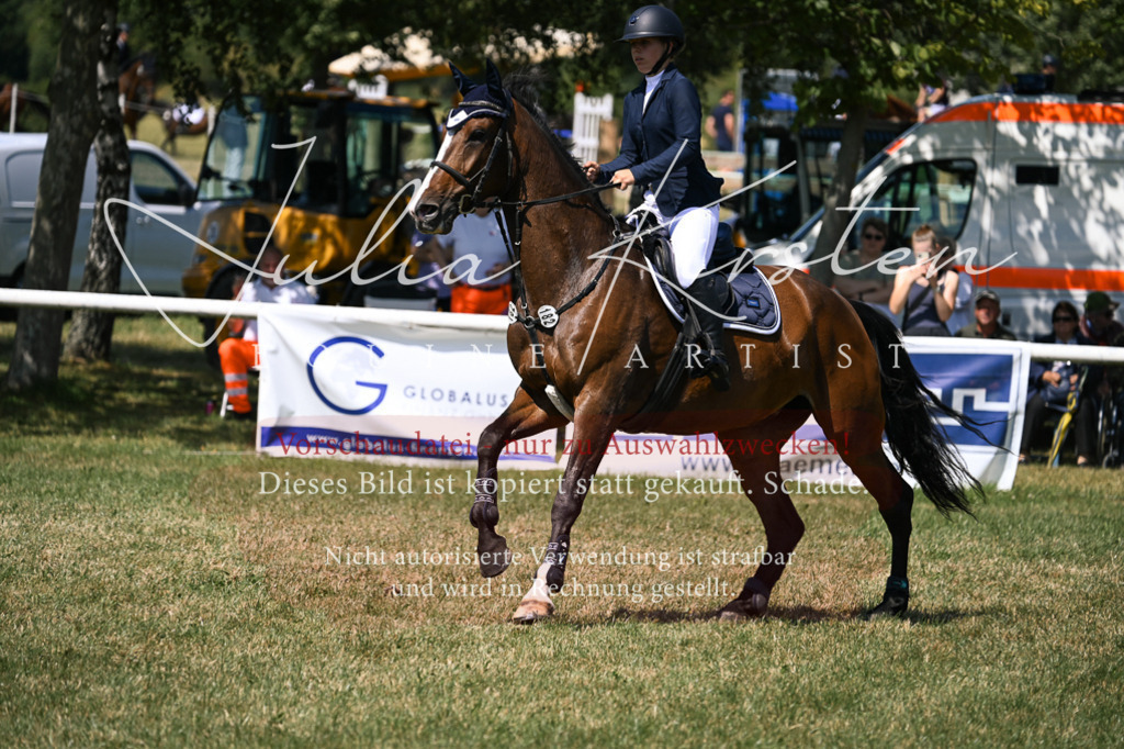 DSC_0110 | Pferde- und Turnierfotografie in Westsachsen. Pferdeportraits, Auftragszeichnungen und intuitive Kunst.
