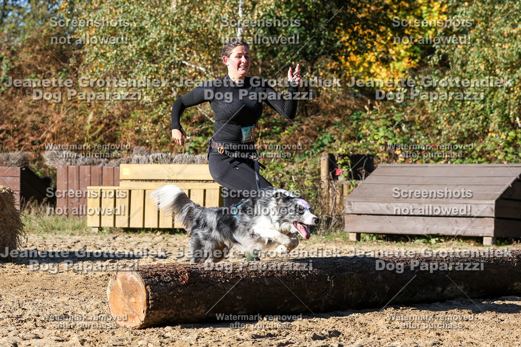 Dog Paparazzi - Strongdog 10-25-1982 | Dog Paparazzi Jeanette Grottendiek Fotografie & Videografie - Realisiert mit Pictrs.com
