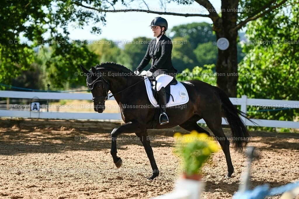 20230715_06_Dressurpferdeprfg. Kl.A_0338 | equistock