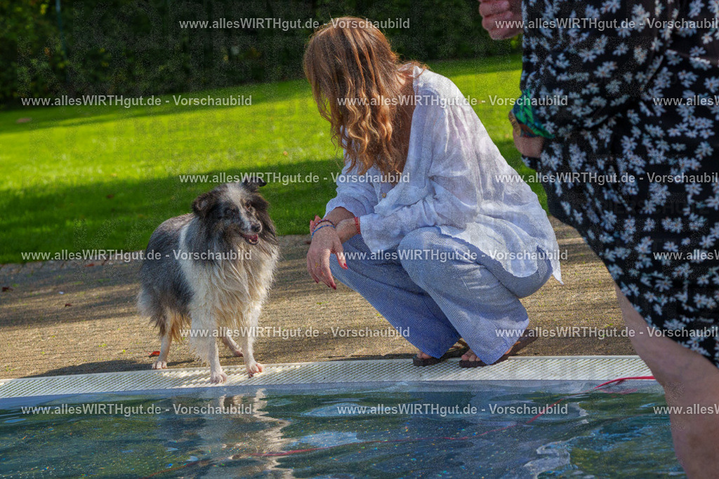 Hundeschwimmen_Grefrath_2026-allesWIRTHgut_Tierfotografie-13_10-FAY00537 | Professionelle Tierfotografie in Mönchengladbach von Daniel Wirth (allesWIRTHgut). Liebevolle & natürliche Bilder von Hunden & Katzen für unvergessliche Erinnerungen.