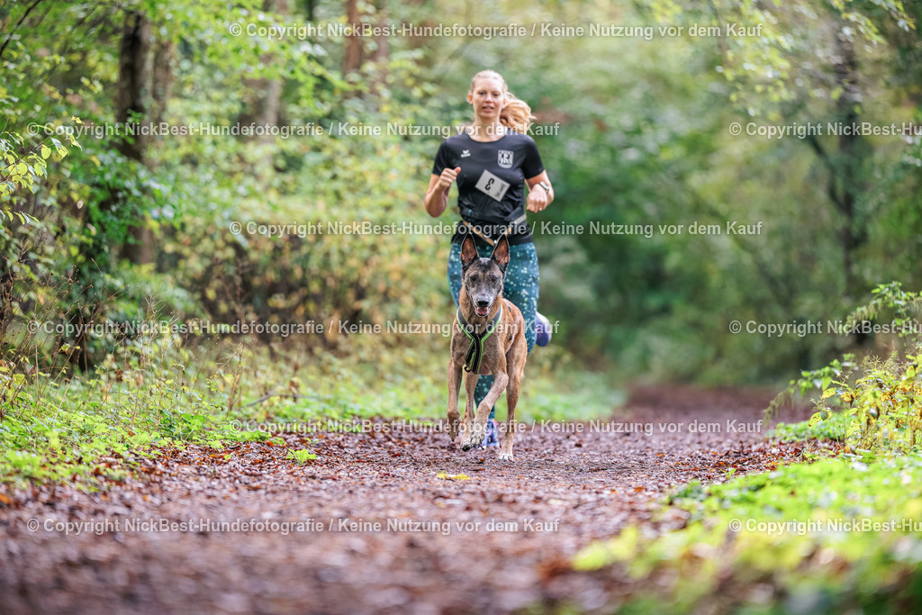 THS-HSV-Blumenthal-2026-Nickbest-Hundefotografie-0533 | Dein Hund! Dein Moment! Deine Erinnerungen! Hundefotografie in Bremen Blumenthal. Ich fange die besonderen Momente deines Vierbeiners ein – ob Indoor mit Blitzanlage oder in der freien Natur. Sicher dir dein Moment und dein Termin für eure Erinnerungen.