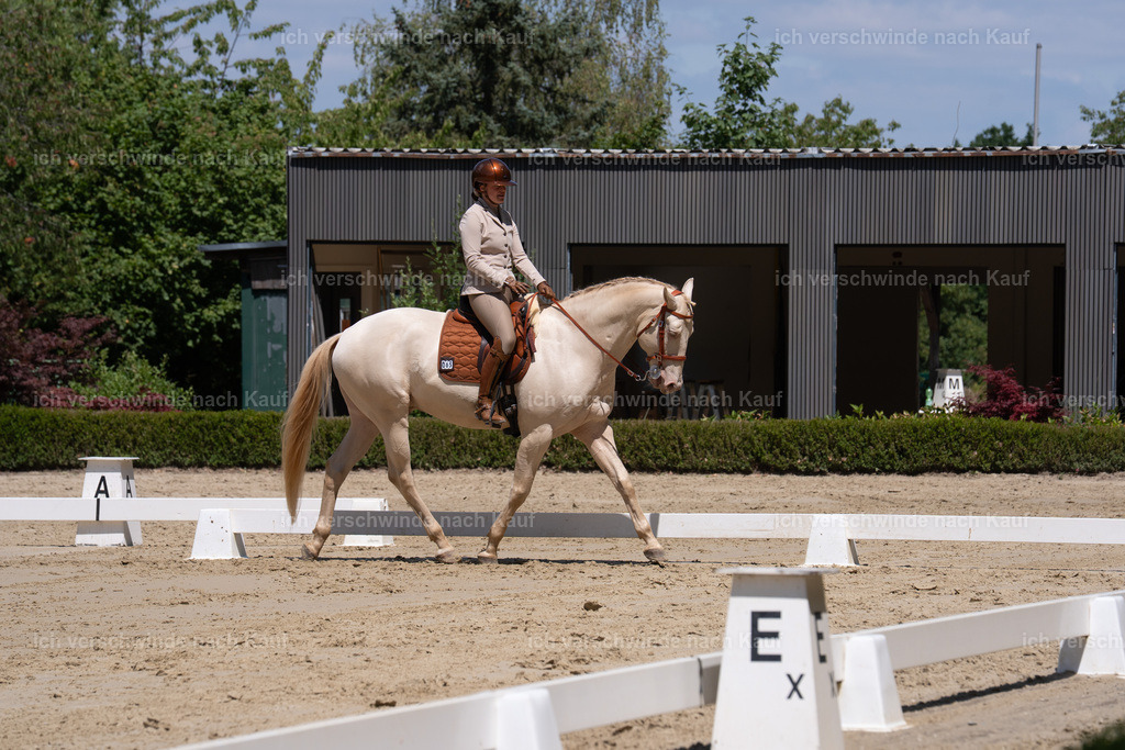 WS_DR_69_sinafilmart_IN02509 | working equitationturnier fotograf videograf stoibphotography marixx film working equitation deutschland reitsport turnierfotografie eventfotografie equestrian events