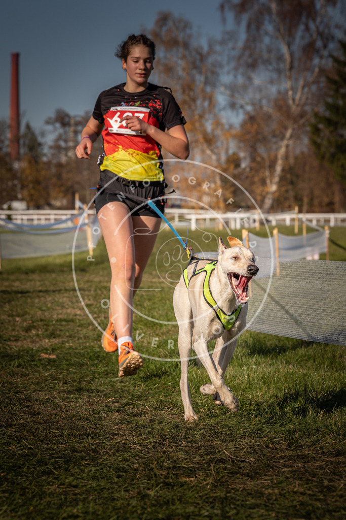 CaniXpix_0L8A8641 | Hundefotografie, Tierfotograf, Pfotenfotografie, Fotoshooting Hund, Hunde Portrait, Hundesport, Hundeportraits, Heideshooting, Hunde, Sportfotograf, Hundefotograf, Turnierhundsport, THS,  - Realisiert mit Pictrs.com
