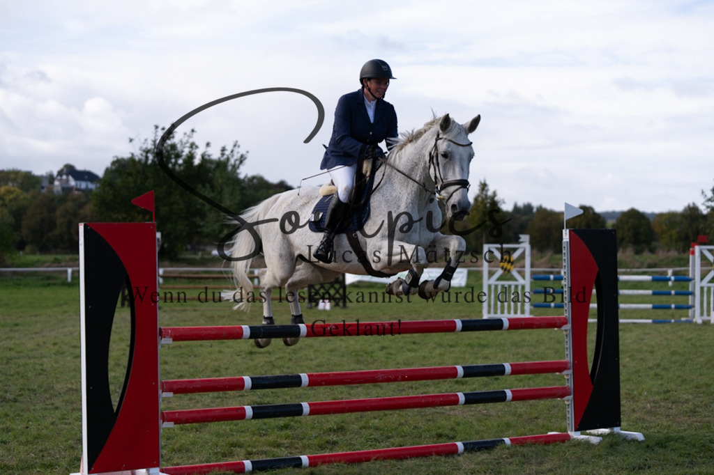 A7V06982 | Pferdefotograf