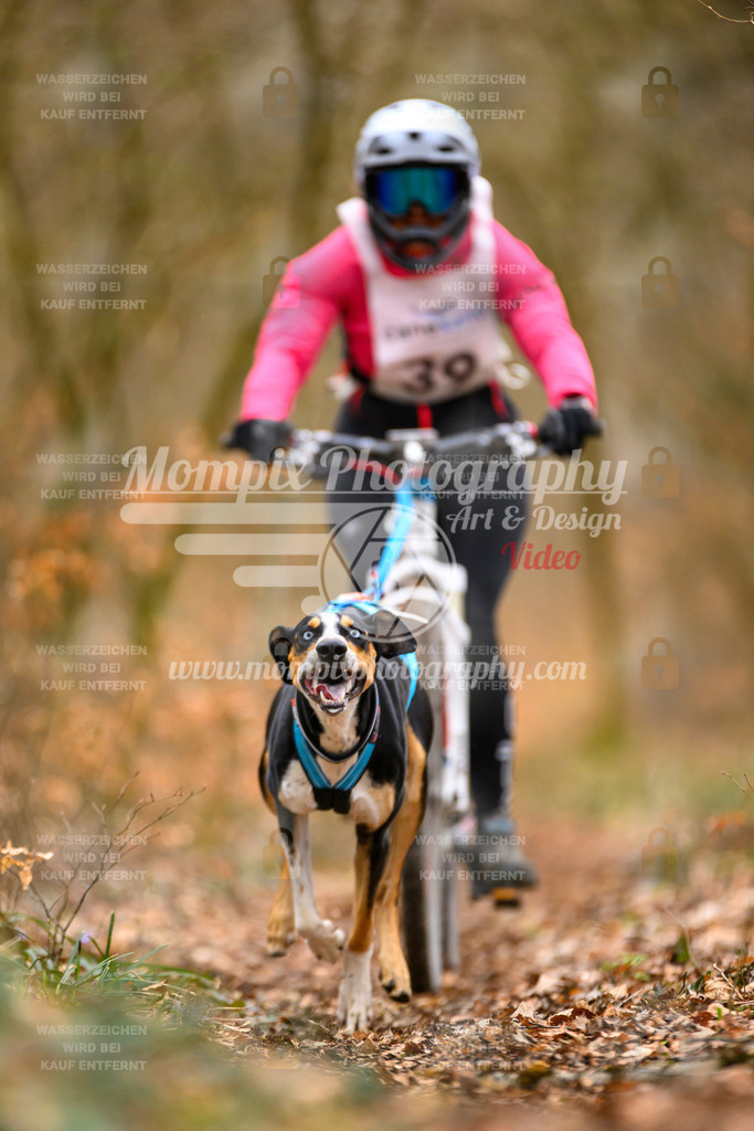 MompixPhotography_ReiatRennen2024_SO_Bike1H-63 | PayLife
