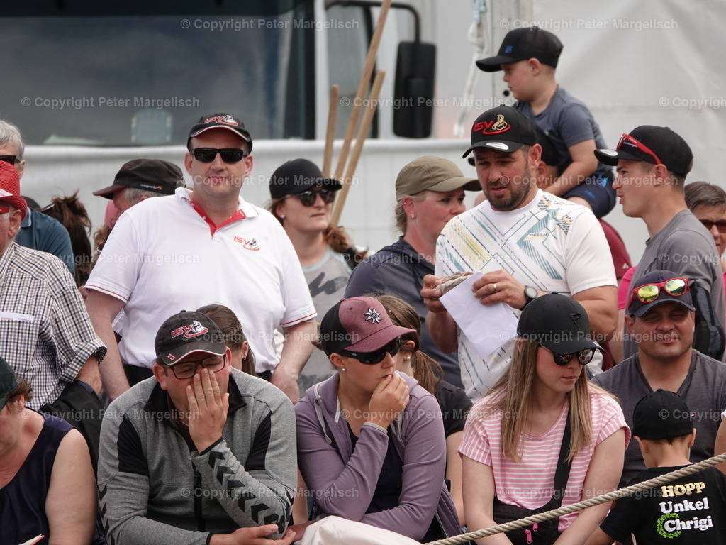 DSC07487 | Schwingen - Realisiert mit Pictrs.com