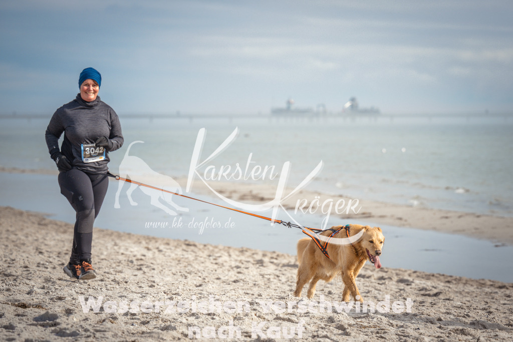 1158_ZZ93156 | kk-dogfotos