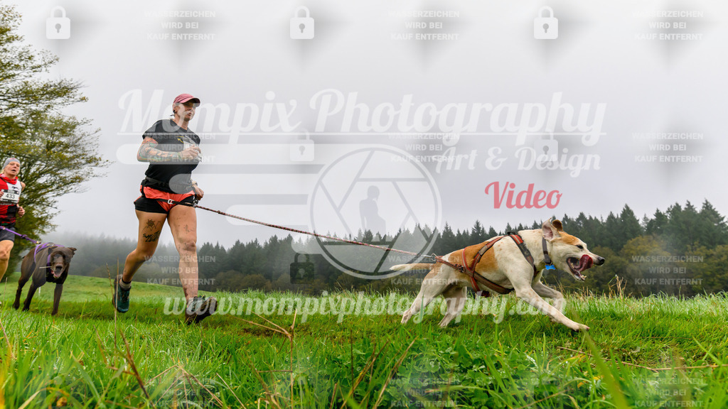 MompixPhotography_20TSB_E5_Run-87 | PayLife