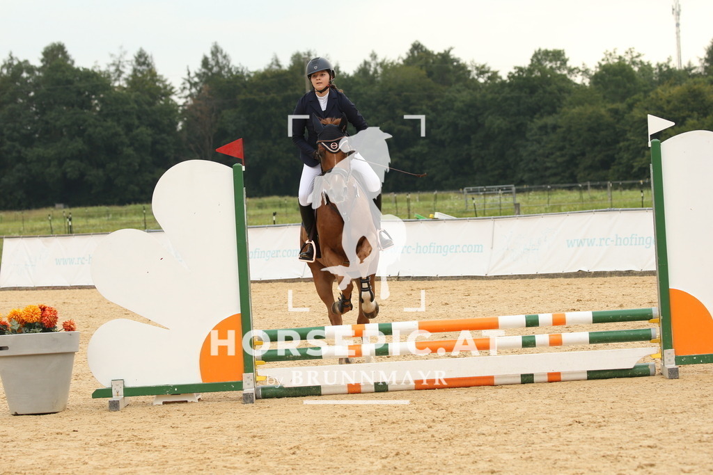DL2Q3169 | Willkommen bei Brunnmayr - Design & Fotografie – Ihrem Spezialisten für Reitturniere und Pferdeveranstaltungen in Oberösterreich, Salzburg und Bayern! Seit über 17 Jahren sind wir leidenschaftlich dabei.