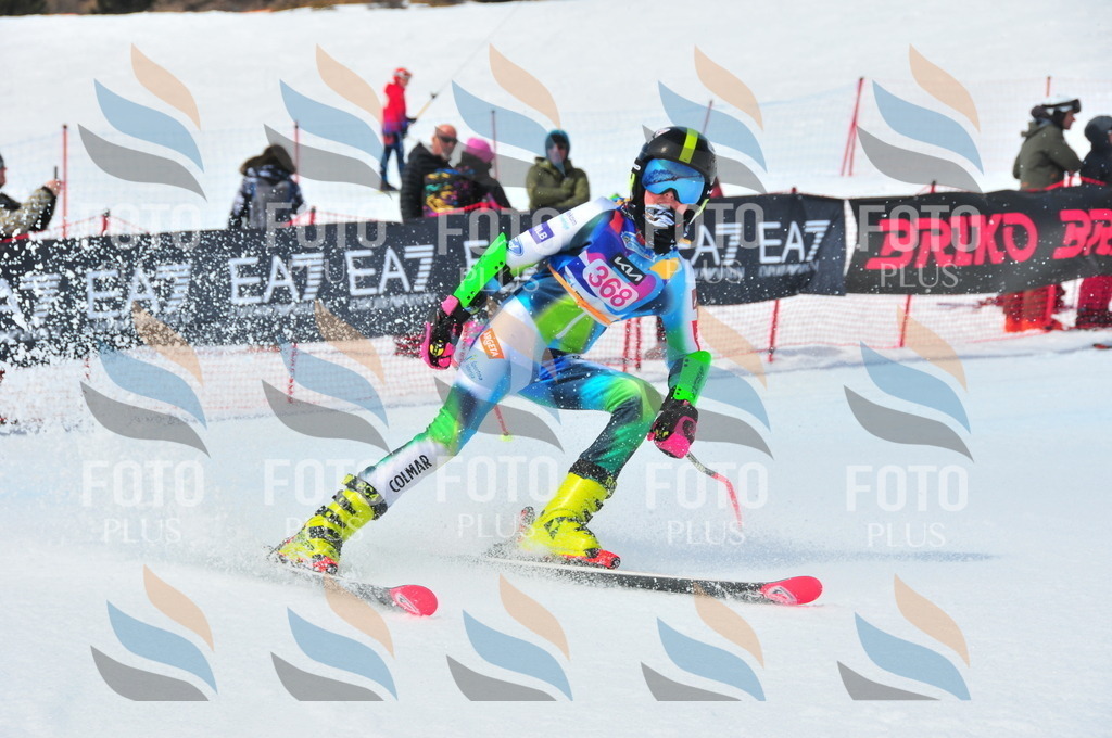 DSC_7111 | holidayphoto