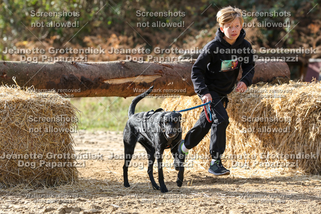 Dog Paparazzi - Strongdog 10-25-5834 | Dog Paparazzi Jeanette Grottendiek Fotografie & Videografie - Realisiert mit Pictrs.com