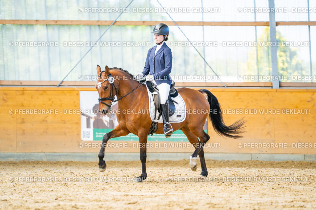 DSC07935 | Pferdegrafie