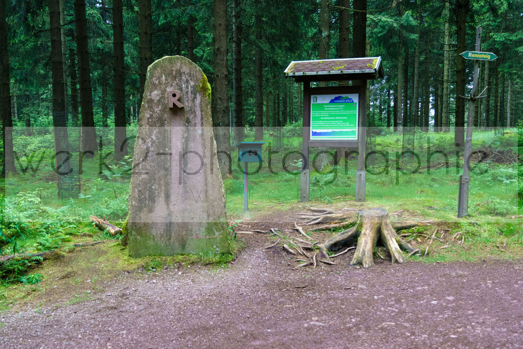 Rennsteig-Staffellauf | 24. Staffellauf - 22.06.2024 von Hörschel nach Blankenstein