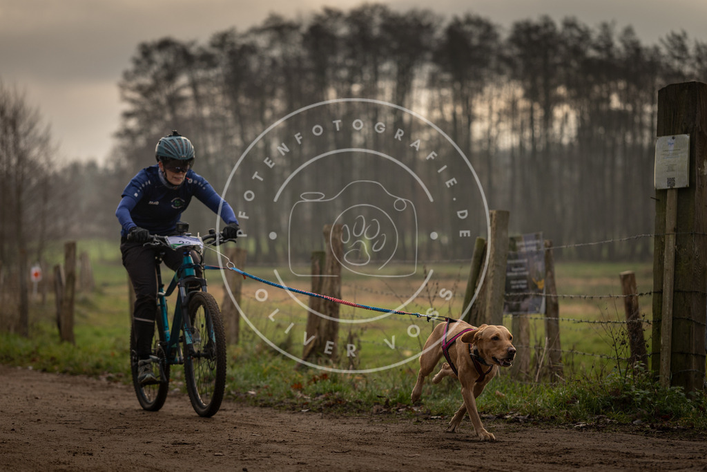 Pfotenfotografie_DV3A1979 | Hundefotografie, Tierfotograf, Pfotenfotografie, Fotoshooting Hund, Hunde Portrait, Hundesport, Hundeportraits, Heideshooting, Hunde, Sportfotograf, Hundefotograf, Turnierhundsport, THS,  - Realisiert mit Pictrs.com