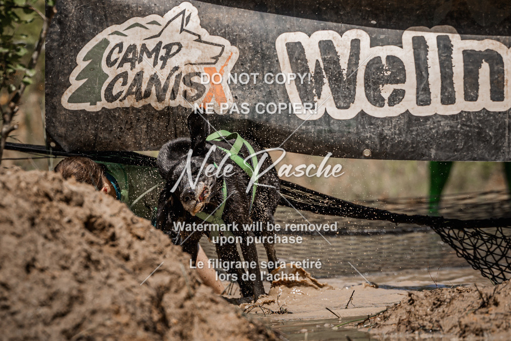 nelerasche_Hoope2026_Sa1230-1300_334 | nelerasche