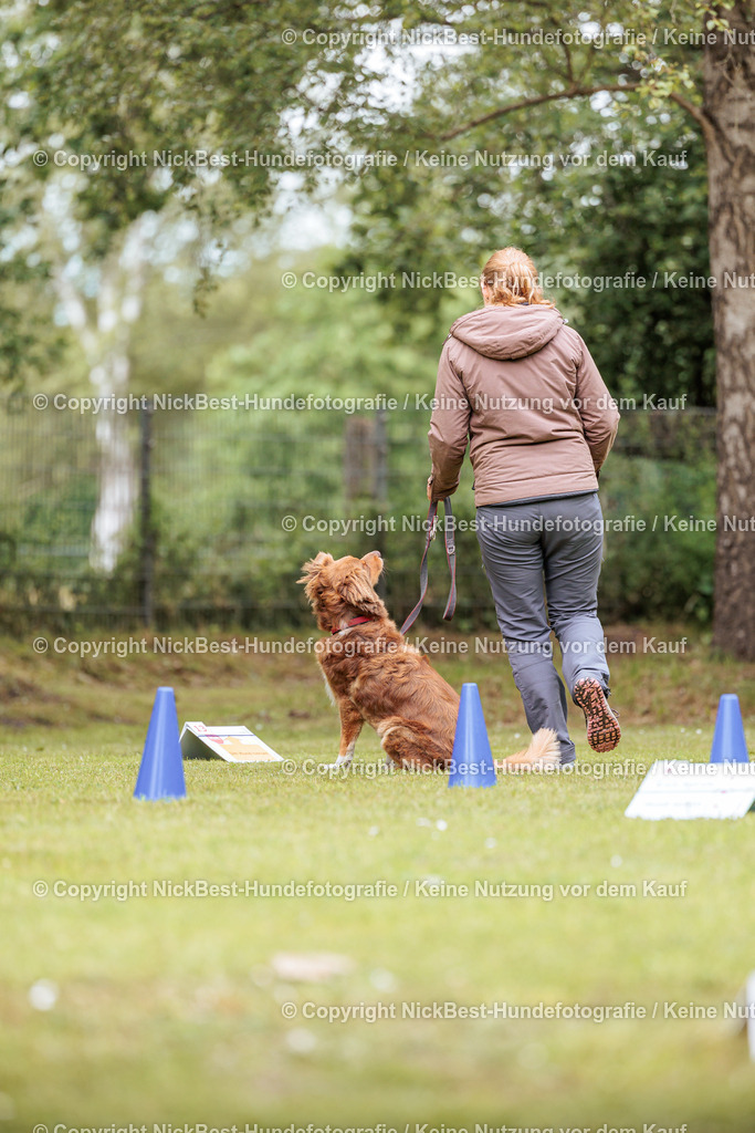 RO-Blumenthal-2026-Nickbest-Hundefotografie-3400 | Dein Hund! Dein Moment! Deine Erinnerungen! Hundefotografie in Bremen Blumenthal. Ich fange die besonderen Momente deines Vierbeiners ein – ob Indoor mit Blitzanlage oder in der freien Natur. Sicher dir dein Moment und dein Termin für eure Erinnerungen.