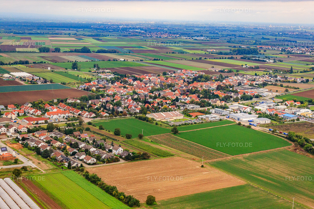 Luftbild: Ortsansicht von Süden im Ortsteil Assenheim in Hochdorf-Assenheim im Bundesland Rheinland-Pfalz in Deutschland. Foto: IMG_34180.jpg vom 02.10.2010 durch Werner Riehm/FLY-FOTO.deAuflösung des Originals: 4752 x 3168 px