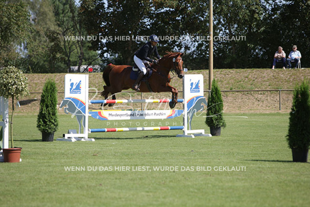 1J2A7547Louiza Tiedje_ Kn019_ Cadiz Red_ Sukow | Foto- und Videografie für alles rund ums Pferd. Hochwertige Bilder und Videos vom Spring- und Dressurreiten, Voltigieren & mehr. Jetzt aktuelle Veranstaltungen und Preise im Shop ansehen. - Realisiert mit Pictrs.com
