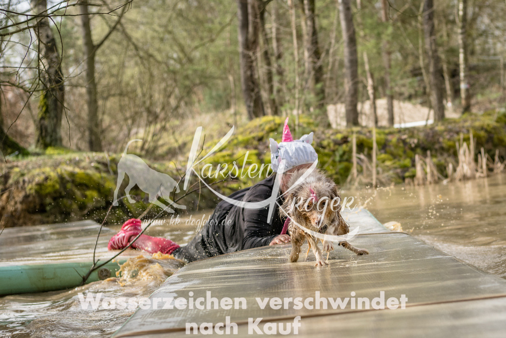 1007_ZZ92674 | kk-dogfotos