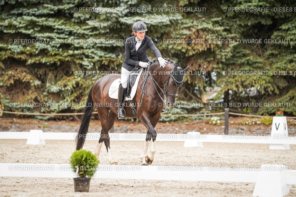 DSC07564 | Pferdegrafie