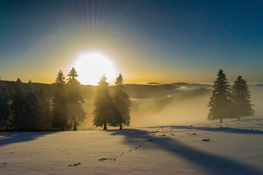 769325C0-EE10-4BE7-BC7C-B3DE367159EC | <meta name="keywords" content="Bergbilder, Hochzeitsfotografie, Actionshootings, Fotografiearbeiten, Berglandschaften, Naturfotografie">

 - Realisiert mit Pictrs.com