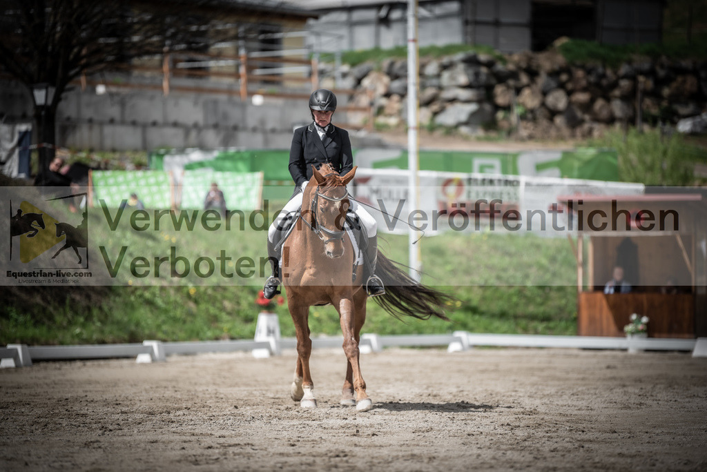DSC_2534 | equestrian-live-com