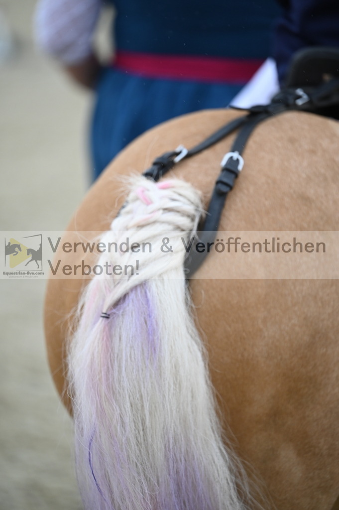 DSC_5360 | equestrian-live-com