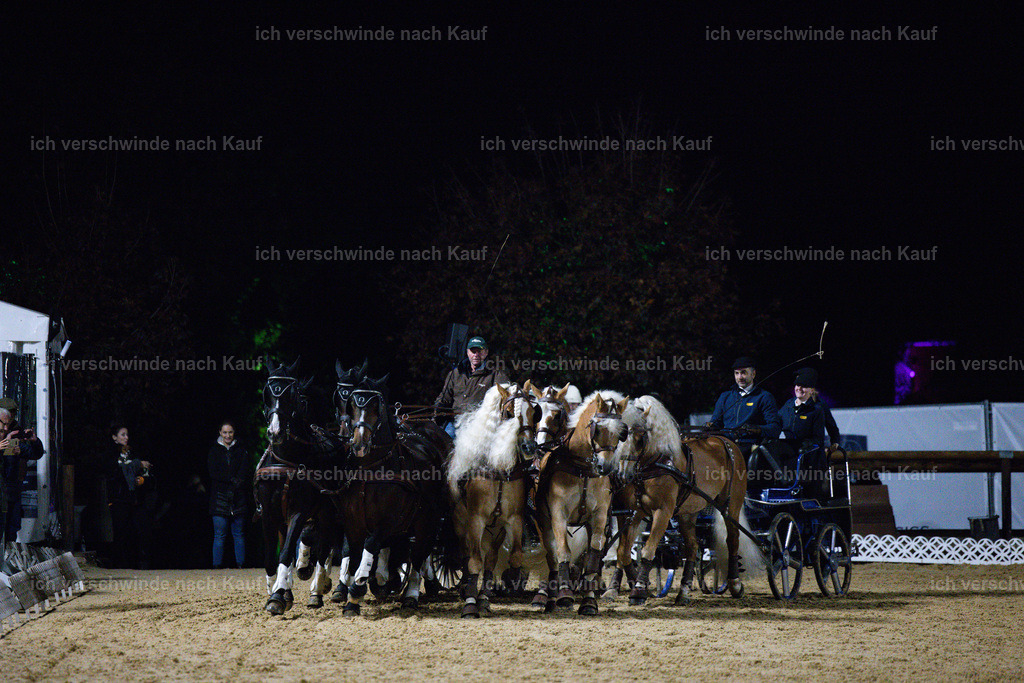 FHClassics-296 | working equitationturnier fotograf videograf stoibphotography marixx film working equitation deutschland reitsport turnierfotografie eventfotografie equestrian events