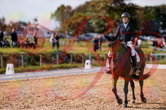 2026_10_03_Siefer-Hof_130122_Z81_53297470 | Professionelle Reitsport-, Turnier- und Eventfotografie von Robert Broda. Galerien mit ausgewählten und bearbeiteten Bildern direkt online ansehen und bestellen.