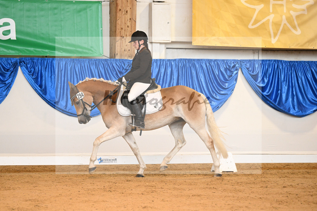 Kat-Nr. 294 High Nobility B_Bonitz_54221737 | hf-fotografie - Realisiert mit Pictrs.com