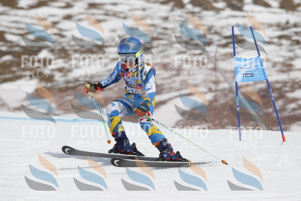 _U3G2294 | holidayphoto