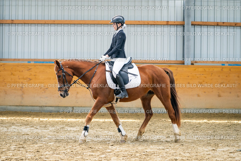 DSC01655 | Pferdegrafie