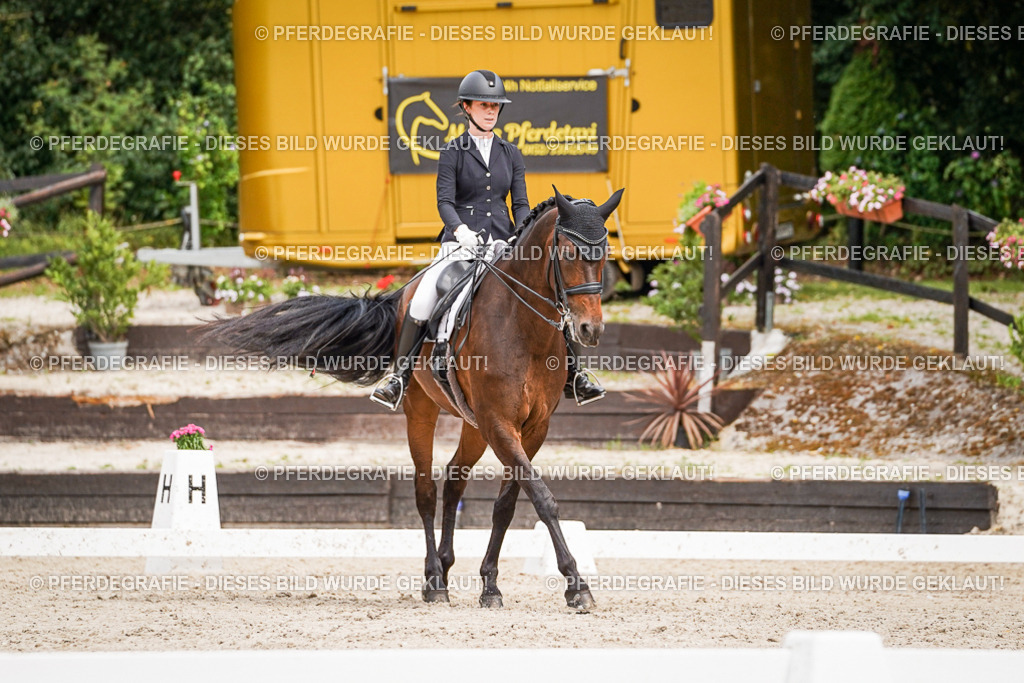 DSC05823 | Pferdegrafie