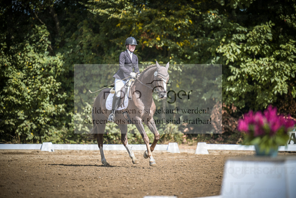 DOS_0105 | Entdecke hochwertige Reitturnierfotos von Foto Oger. Professionell, emotional und authentisch – jetzt Lieblingsmomente im Shop bestellen.Deutschlandweite Turnierfotografie. - Realisiert mit Pictrs.com