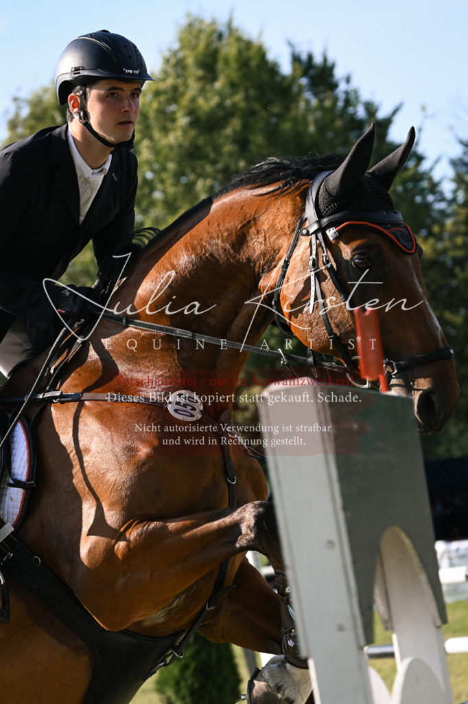 DSC_1691 | Pferde- und Turnierfotografie in Westsachsen. Pferdeportraits, Auftragszeichnungen und intuitive Kunst.