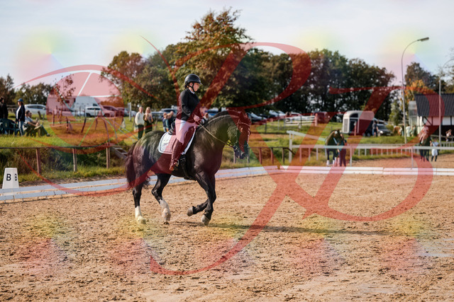2026_10_03_Siefer-Hof_131701_Z63_78280084 | Professionelle Reitsport-, Turnier- und Eventfotografie von Robert Broda. Galerien mit ausgewählten und bearbeiteten Bildern direkt online ansehen und bestellen.