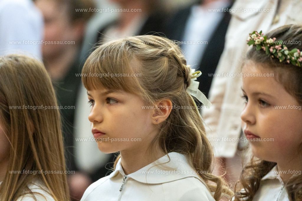 A7V02727 | Hier finden Sie die Online Foto-Galerie von fotograf-passau.com und marius-handrugan.de. Suchen Sie sich direkt Ihre Lieblingsbilder aus, ob als Ausdruck oder Download. - Realisiert mit Pictrs.com
