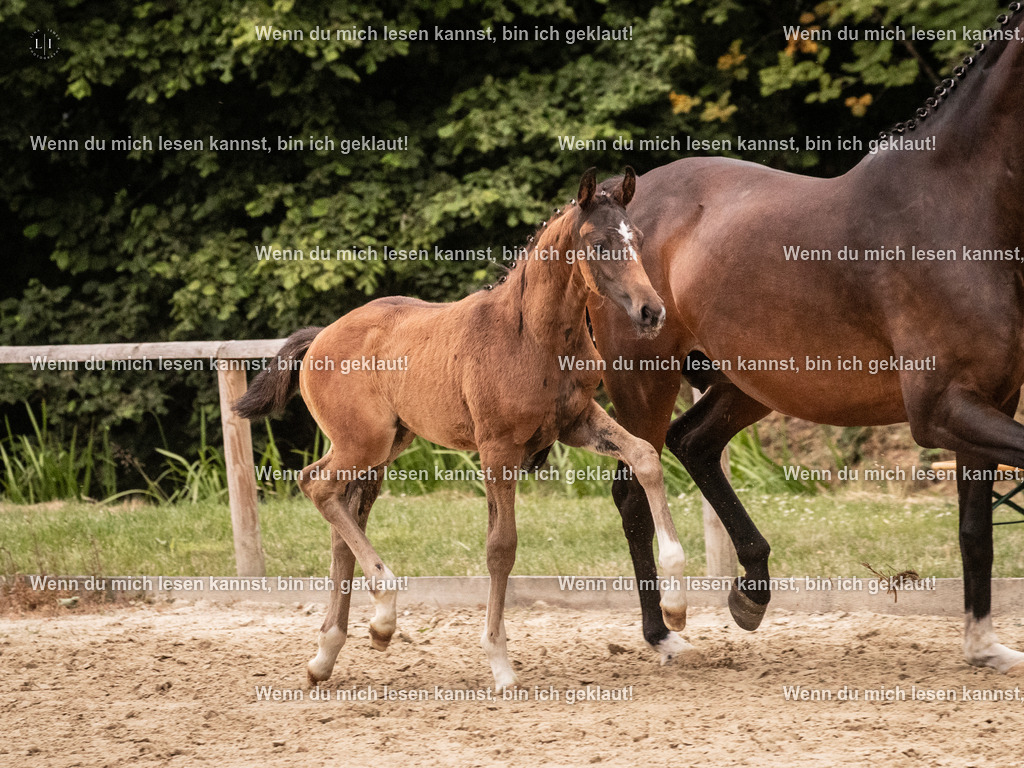 A10I6153 | photographylinaismer - Realisiert mit Pictrs.com