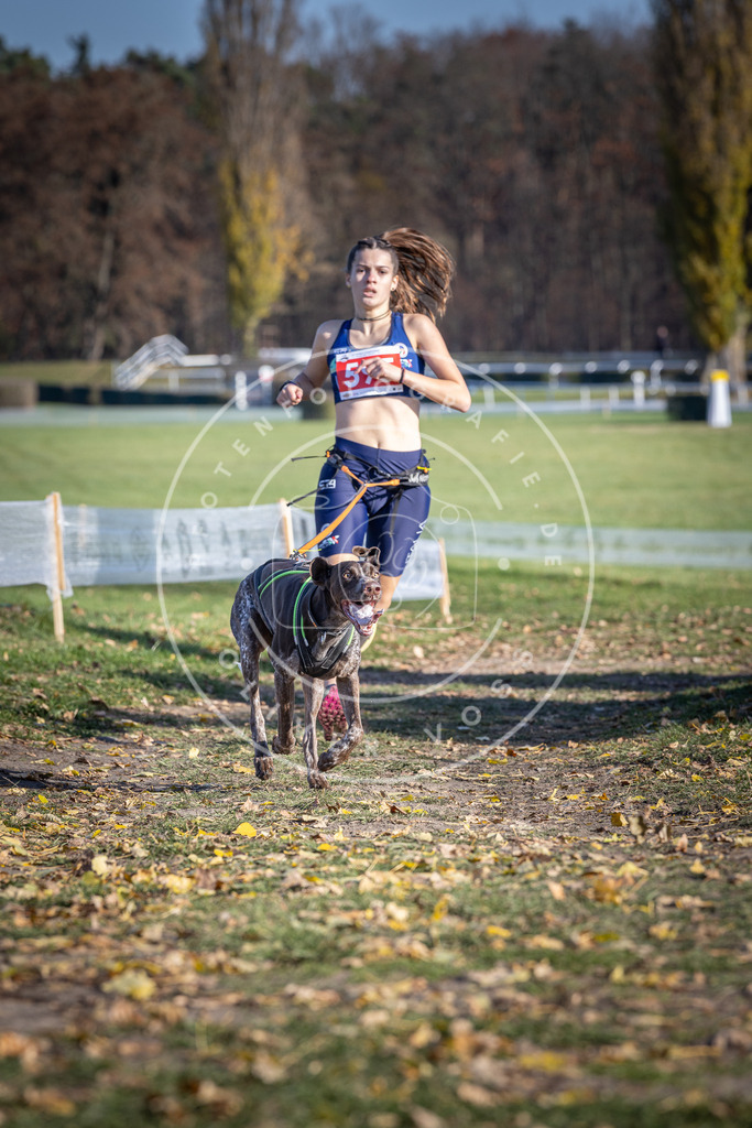 CaniXpix_DV3A9353 | Hundefotografie, Tierfotograf, Pfotenfotografie, Fotoshooting Hund, Hunde Portrait, Hundesport, Hundeportraits, Heideshooting, Hunde, Sportfotograf, Hundefotograf, Turnierhundsport, THS,  - Realisiert mit Pictrs.com