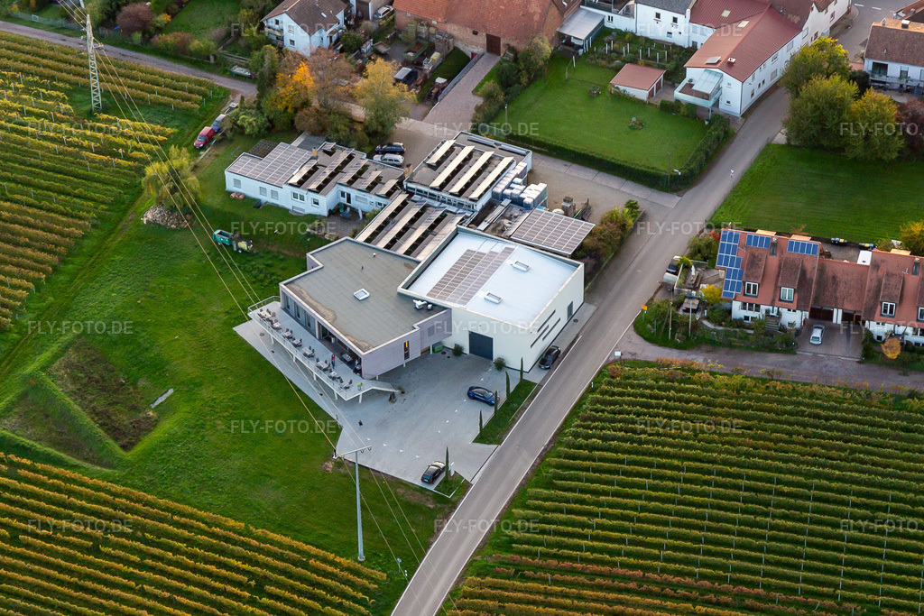 Luftbild: Vinothek Weingut Sauer in Nußdorf im Ortsteil Nußdorf in Landau im Bundesland Rheinland-Pfalz in Deutschland. Foto: IMG_135149.jpg vom 22.10.2022 durch Werner Riehm/FLY-FOTO.deWeingut Sauer: Ihr Winzer in Landau-Nußdorf