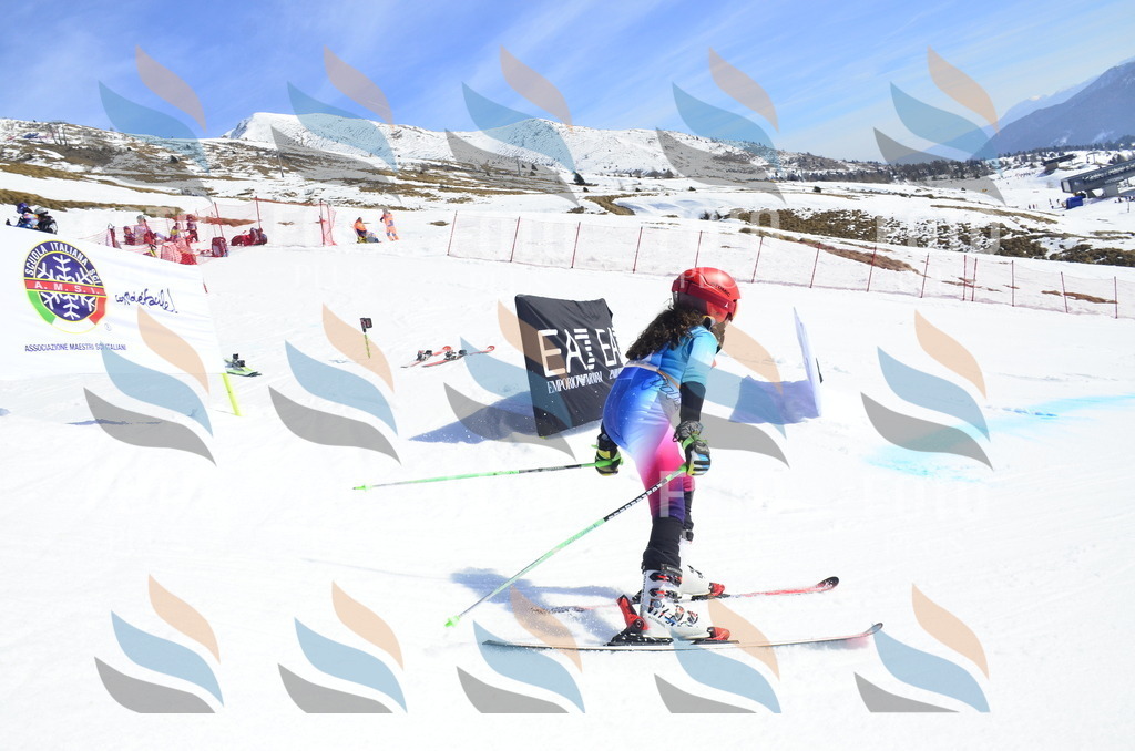 _ELE0866 | holidayphoto