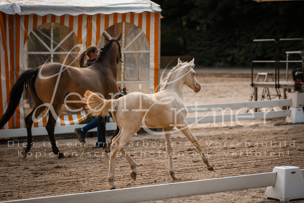 10.DoRP00058 | Leoni Ertmer Photography - Realisiert mit Pictrs.com