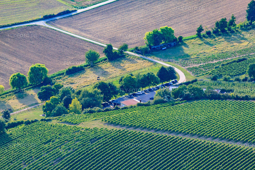 Luftbild: Herxe-/Wagner-Ranch in Herxheim bei Landau im Bundesland Rheinland-Pfalz in Deutschland. Foto: IMG_51487.jpg vom 08.08.2012 durch Werner Riehm/FLY-FOTO.de