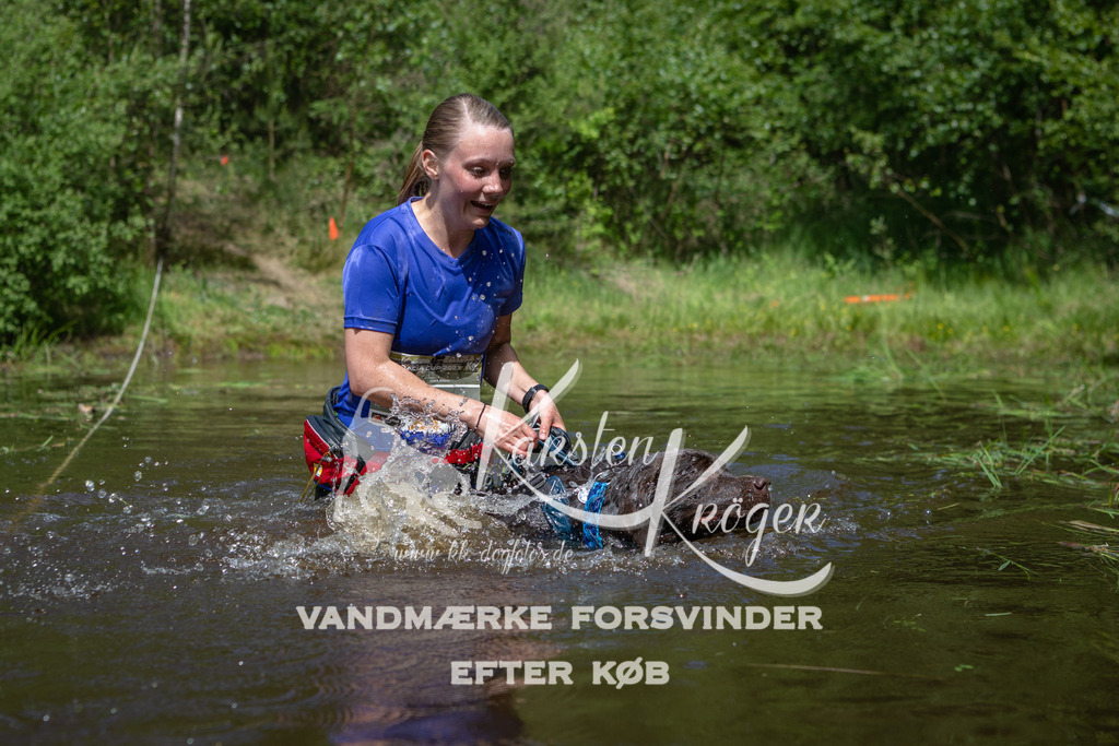 1200DKK991505 | kk-dogfotos