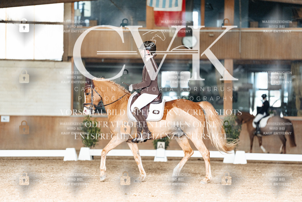 CK902914 | Turnierfotografie Pferdefotografie Trier Rheinland-Pfalz Pferdesport Reitsport Tierfotografie Sportfotografie Pferdevideo Pferdevideografie Equestrianvideography equestrianphotography  - Realisiert mit Pictrs.com