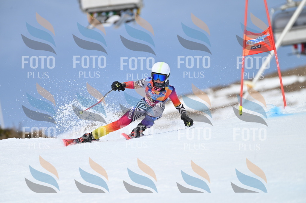 BGV_1952 | holidayphoto