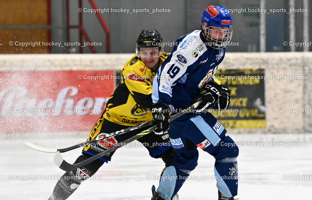 EC Hornets Spittal vs. ESC Steindorf 23.2.2024 | #81 Sivec Peter Paul EC Hornets Spittal, #69 Kreuzer Philipp ESC Steindorf, EC Hornets Spittal vs. ESC Steindorf 23.2.2024, EC Hornets Spittal vs. ESC Steindorf 23.2.2024 am 23.02.2024 in Spittal an der Drau (Eissportzentrum Spittal), Austria, (Photo by Bernd Stefan)