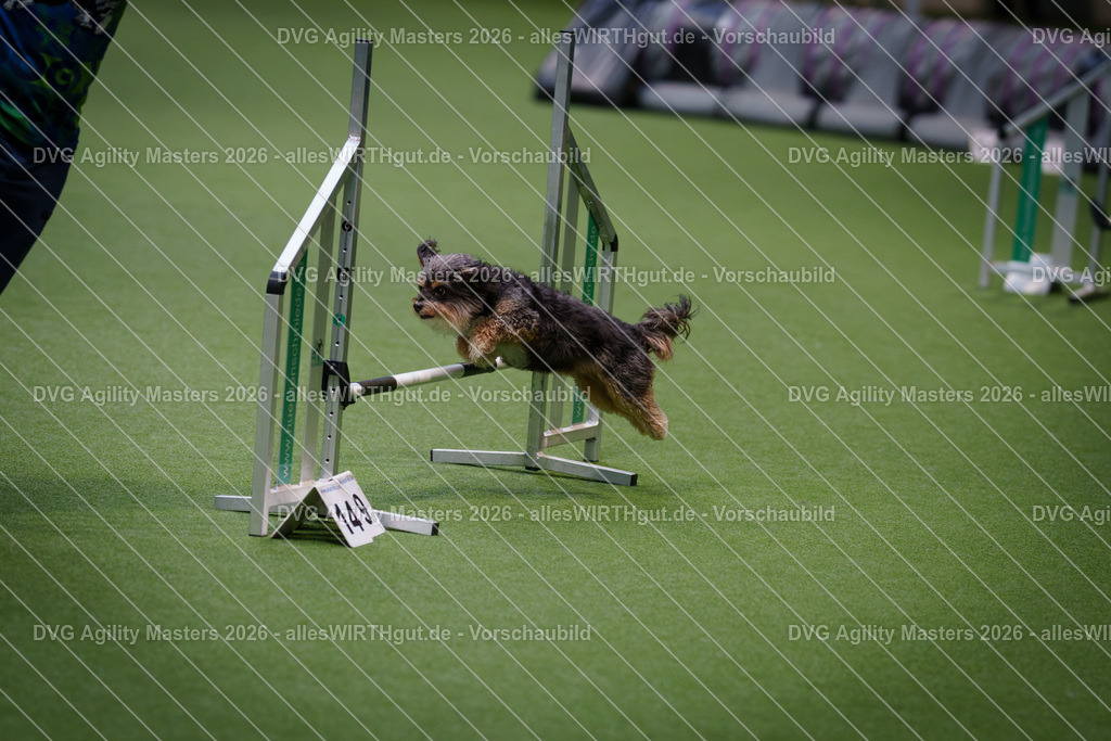 allesWIRTHgut_Tierfotografie-DVG_Agility_Masters_2026-08_41-7R501136 | Professionelle Tierfotografie in Mönchengladbach von Daniel Wirth (allesWIRTHgut). Liebevolle & natürliche Bilder von Hunden & Katzen für unvergessliche Erinnerungen.