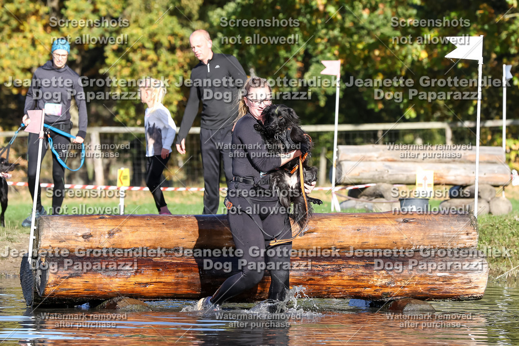 Dog Paparazzi - Strongdog 10-25-8694 | Dog Paparazzi Jeanette Grottendiek Fotografie & Videografie - Realisiert mit Pictrs.com