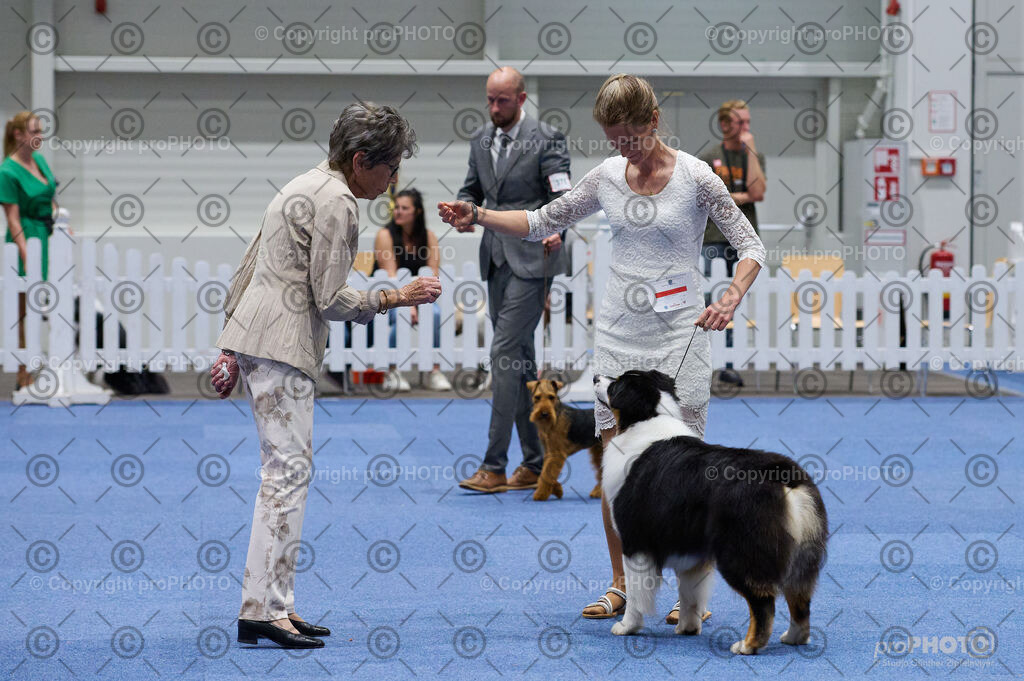 202406_ÖKV-IHA-Tulln24_DSC_3341 | proPHOTO - Realisiert mit Pictrs.com